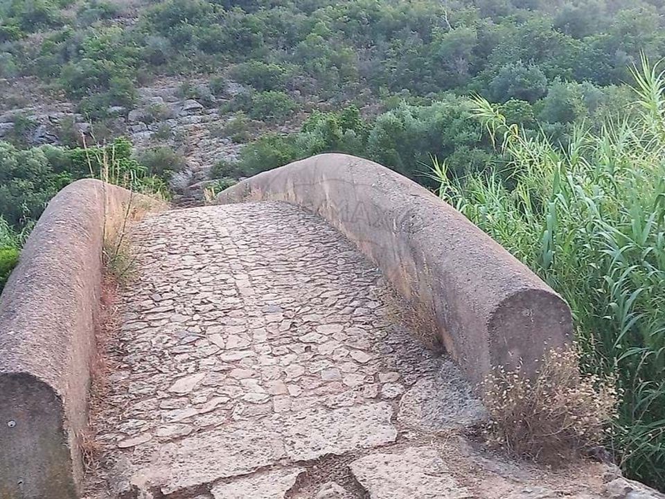 Farm hus i Albufeira, Faro - foto 5