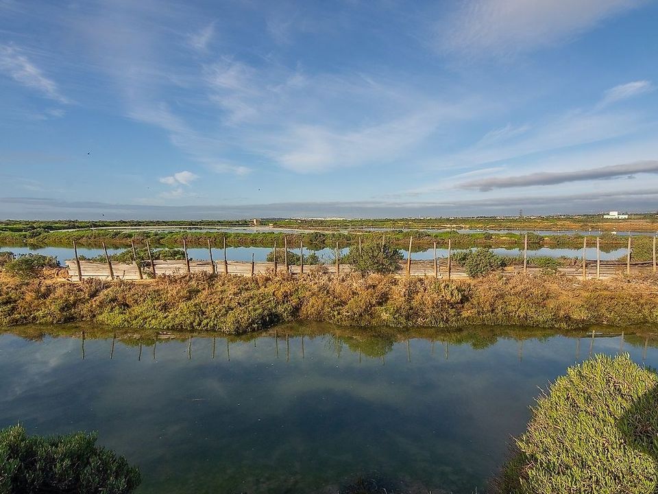 Villa i Olhao, Faro - foto 4
