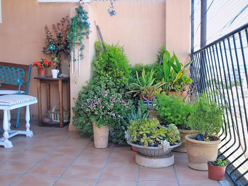 Lejlighed i Palma De Mallorca, Mallorca - foto 5