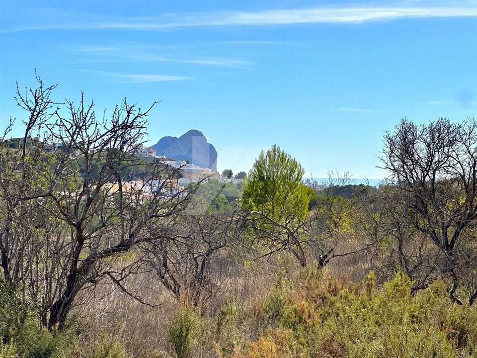 Helårsgrund i Benissa, Alicante - foto 3