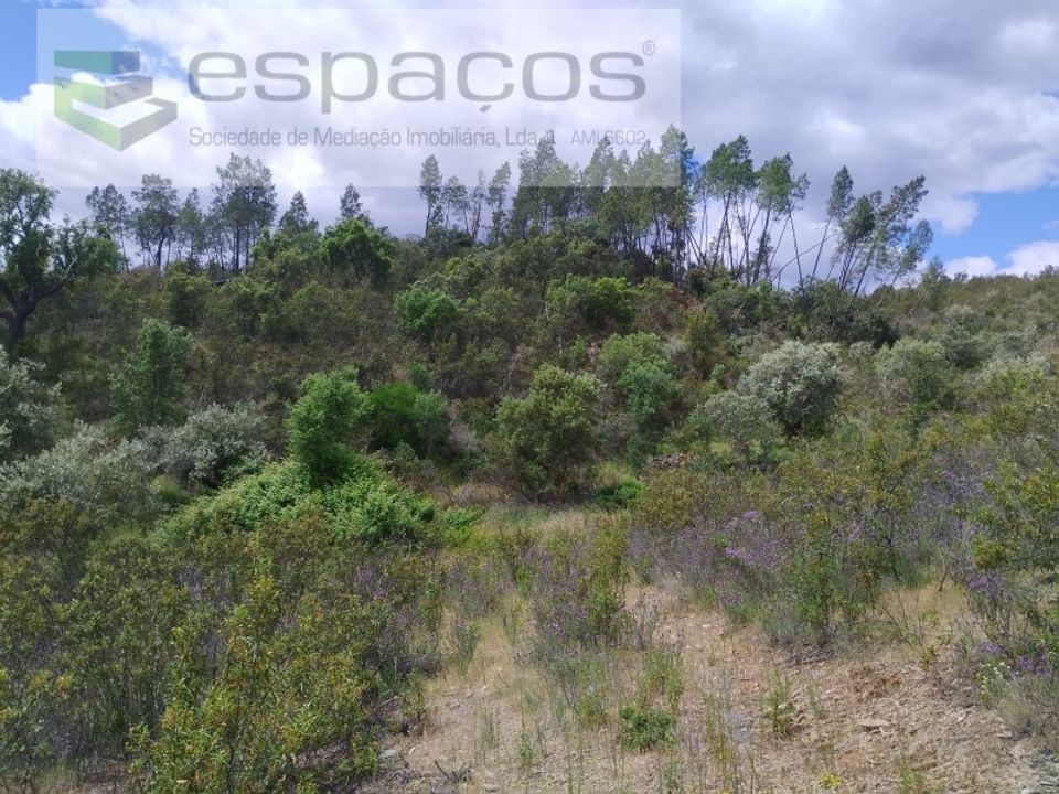 Helårsgrund i Perais, Castelo Branco - foto 3