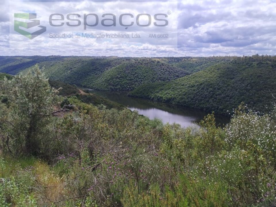Helårsgrund i Perais, Castelo Branco - foto 5
