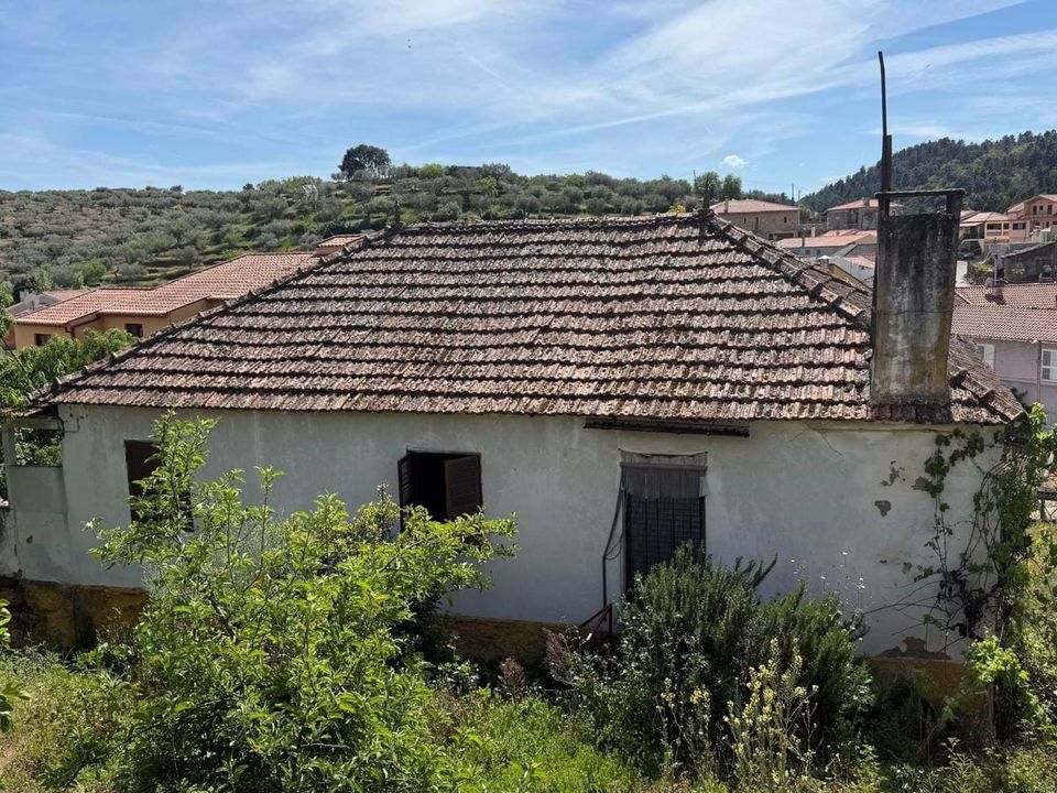 Villa i Vila Flor, Braganca - foto 3