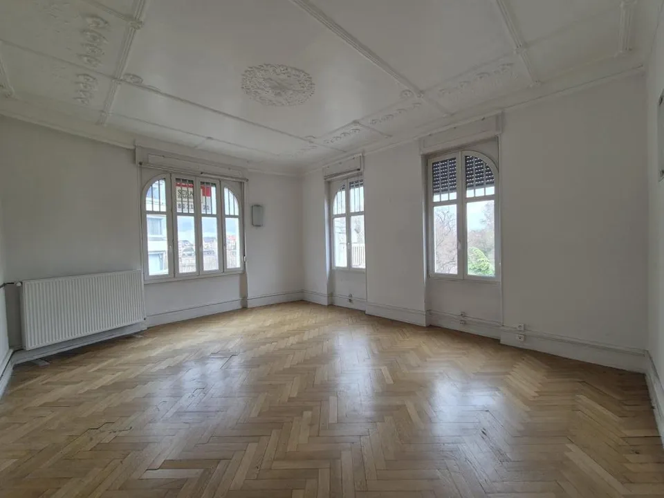 Erhvervsejendom i Strasbourg, Bas-Rhin - foto 1