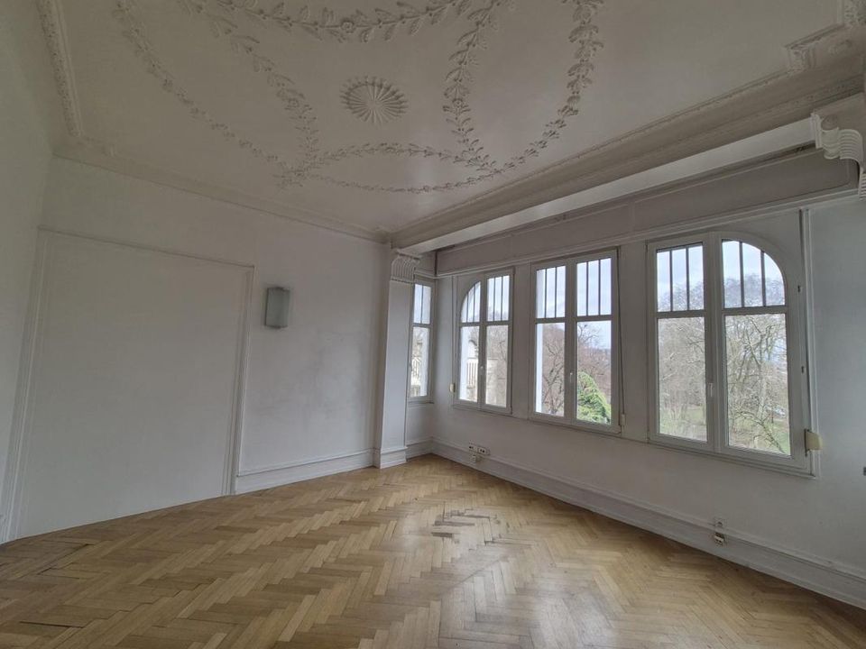 Erhvervsejendom i Strasbourg, Bas-Rhin - foto 4