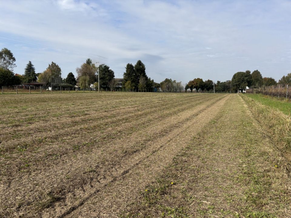 Helårsgrund i Conselve, Padua - foto 1