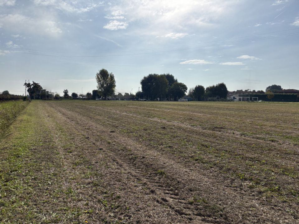 Helårsgrund i Conselve, Padua - foto 2