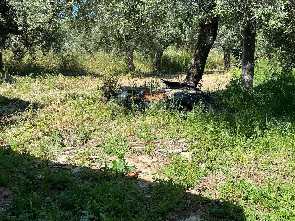 Byhus i Frisa, Chieti - foto 3