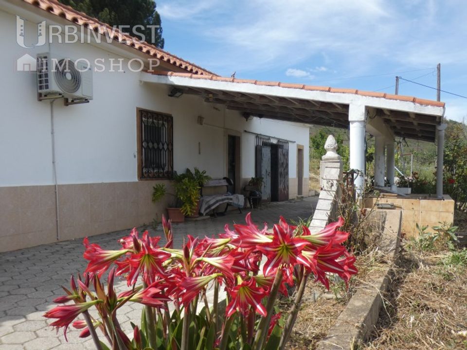 Farm i Silves, Faro - foto 3