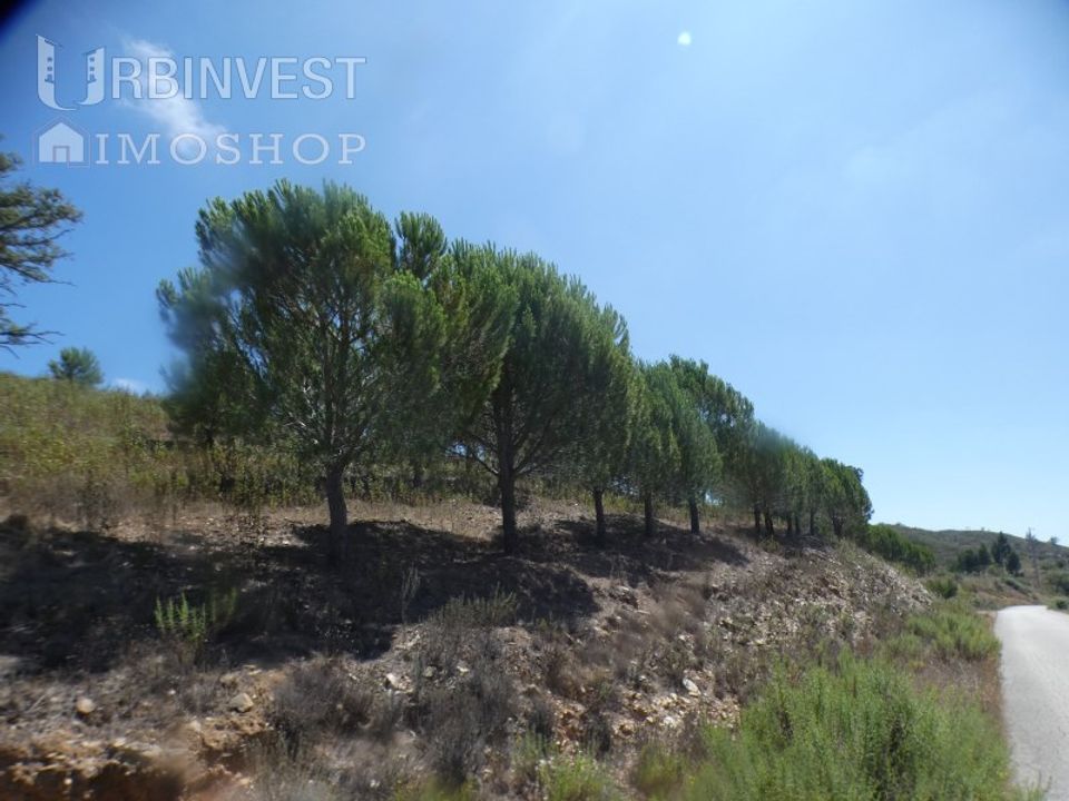 Helårsgrund i Silves, Faro - foto 3