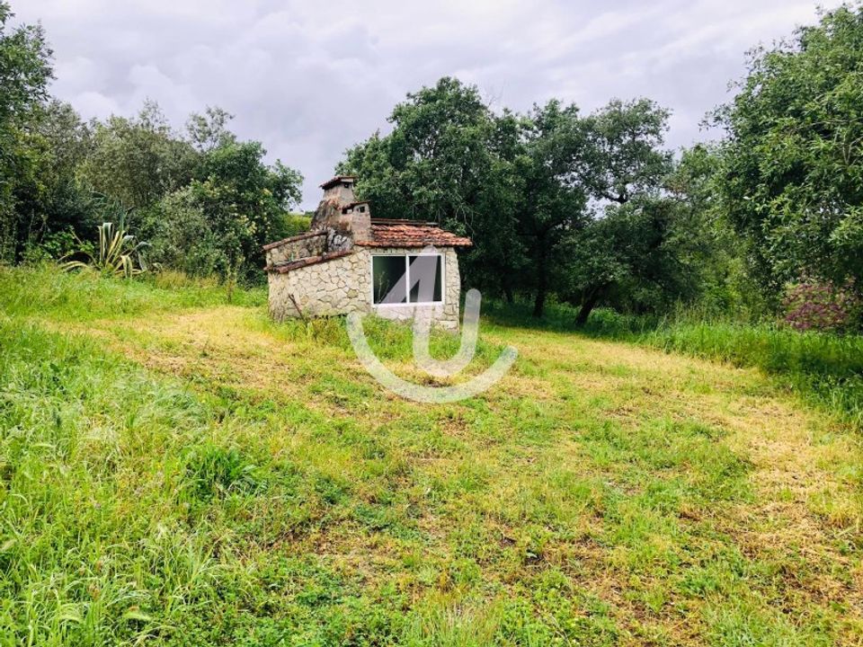Helårsgrund i Alcobaca, Leiria - foto 1