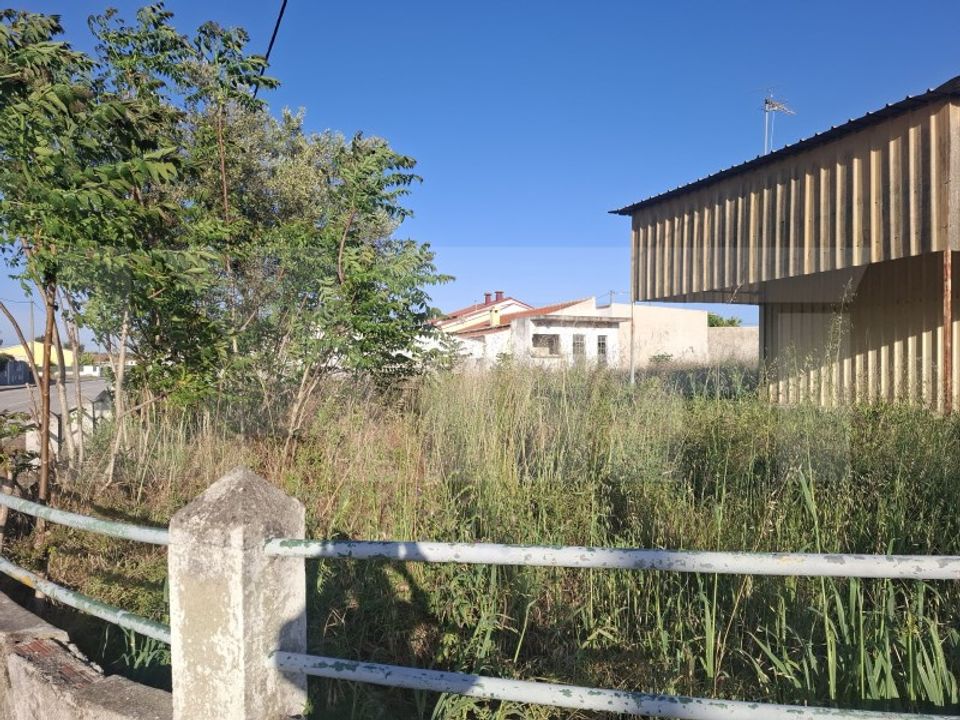 Helårsgrund i Quinta do Anjo, Setubal - foto 2