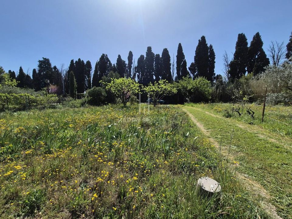 Helårsgrund i Saint-Remy-de-Provence, Bouches-du-Rhone - foto 5