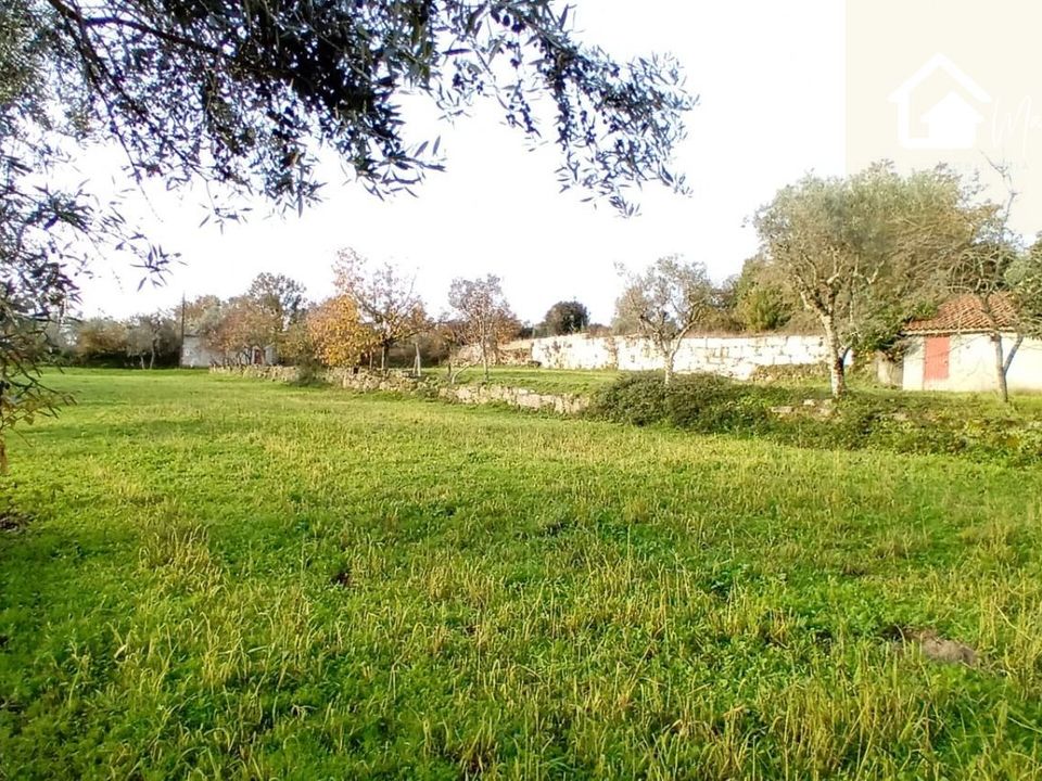 Villa i Mangualde, Viseu - foto 4
