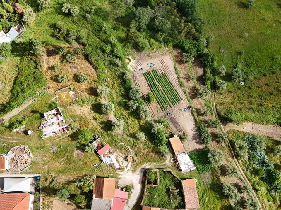 Helårsgrund i Soure, Coimbra - foto 2