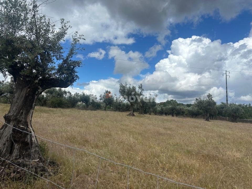 Tomt i Gaviao, Portalegre - bilde 2