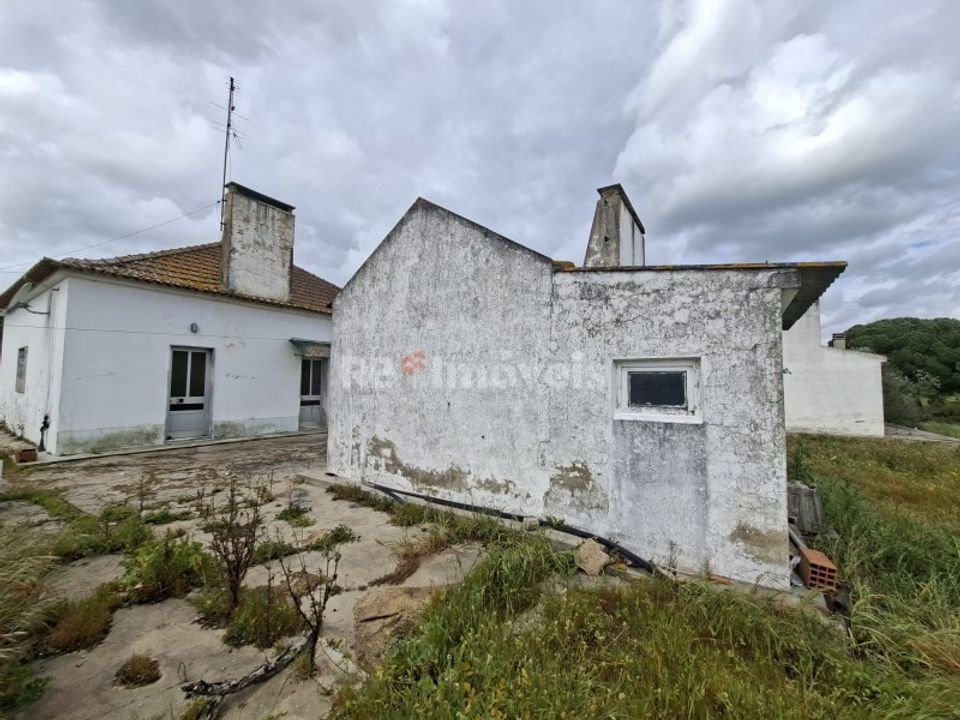 Farm i Coruche, Santarem - foto 5