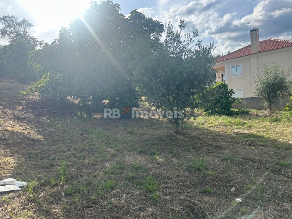 Helårsgrund i Sardoal, Santarem - foto 3