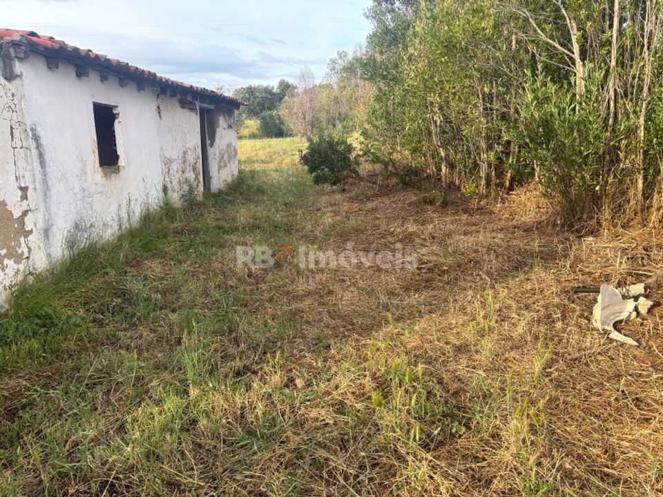 Villa i Vila Nova da Barquinha, Santarem - foto 3