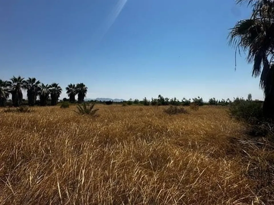 Helårsgrund i Elche, Alicante - foto 2