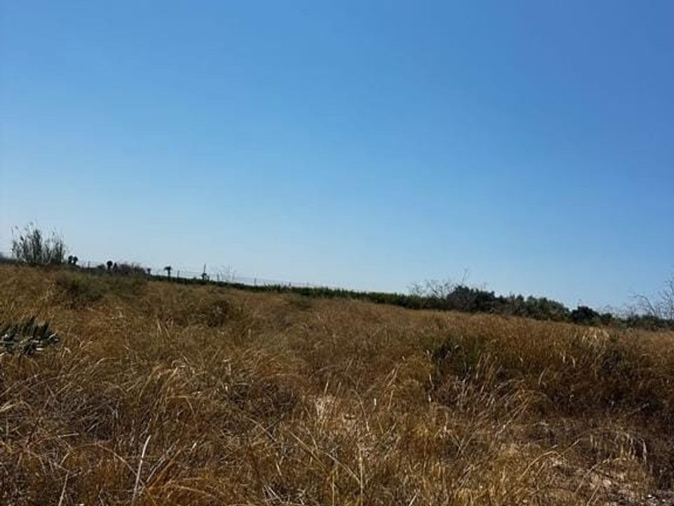 Helårsgrund i Elche, Alicante - foto 3