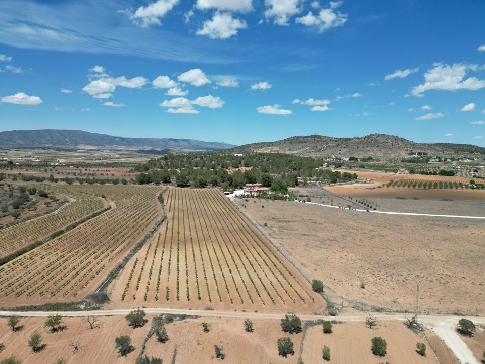 Villa i Pinoso, Alicante - foto 2