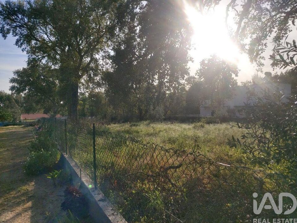 Helårsgrund i Porto de Mos, Leiria - foto 4