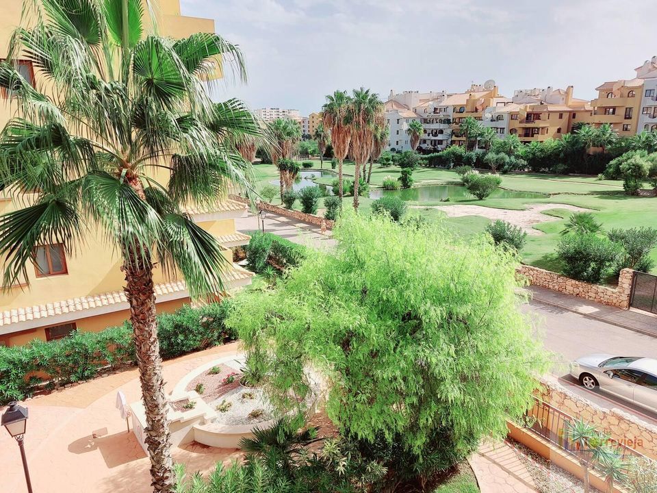 Apartment in Torrevieja, Alicante - photo 3