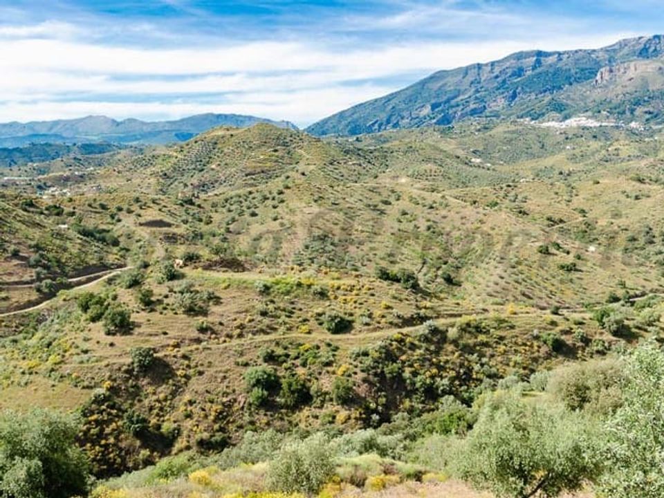 Helårsgrund i Sedella, Malaga - foto 4
