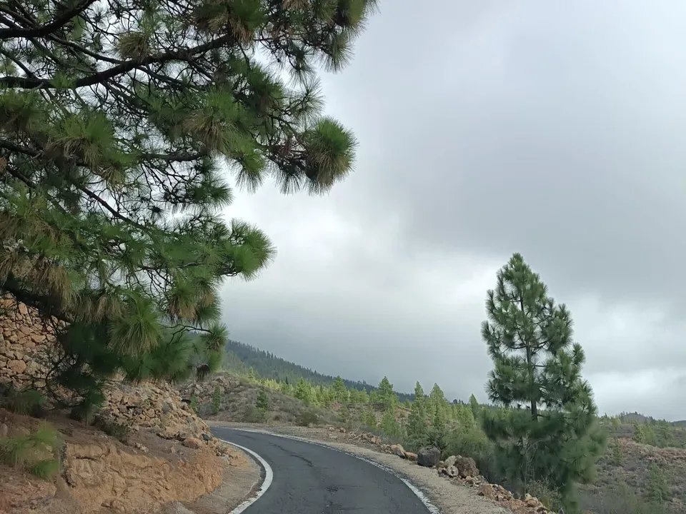 Landejendom i Granadilla, Tenerife - foto 2