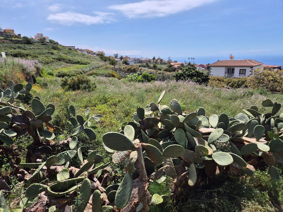 Helårsgrund i El Sauzal, Tenerife - foto 2