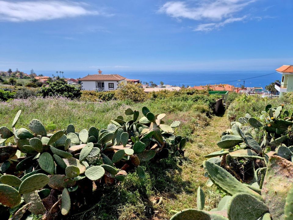 Helårsgrund i El Sauzal, Tenerife - foto 3