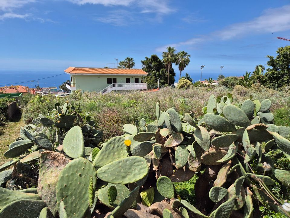 Helårsgrund i El Sauzal, Tenerife - foto 4
