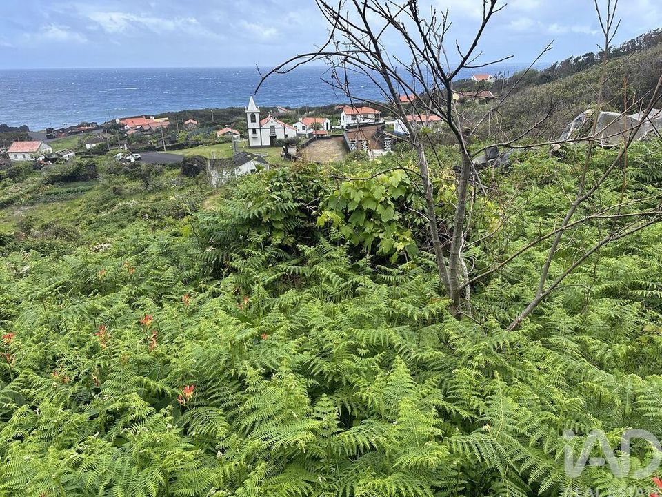 Erhvervsejendom i Velas, Sao Jorge - foto 5