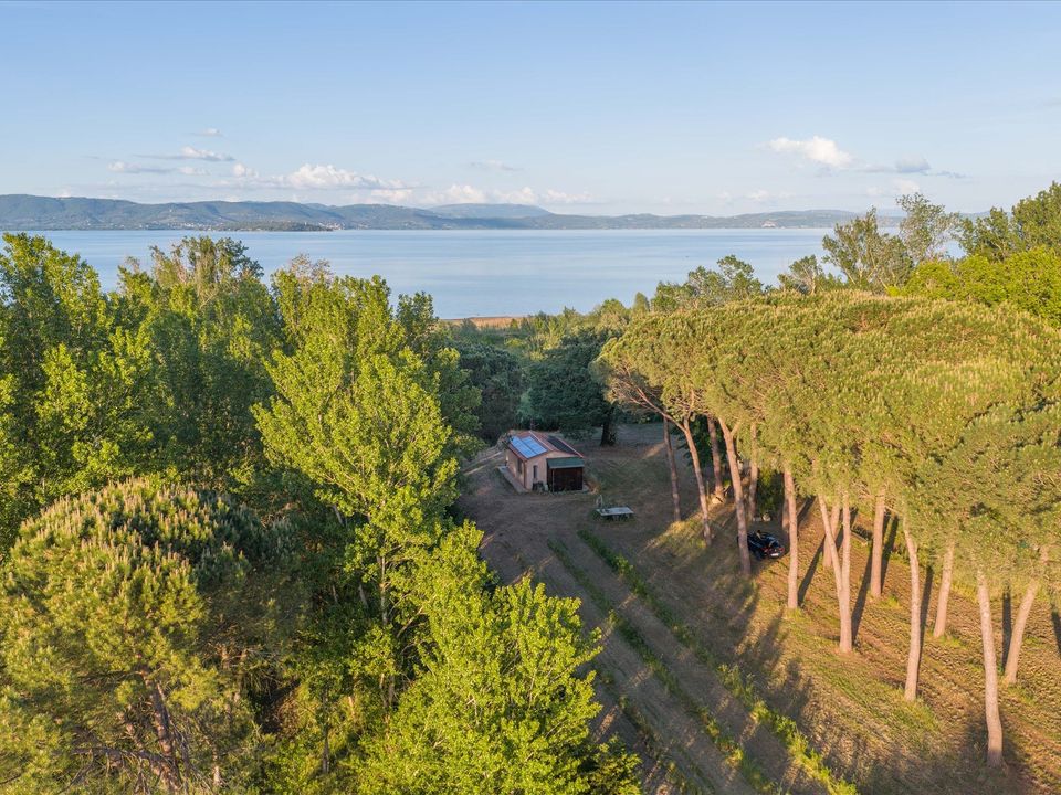 Villa i Castiglione del Lago, Perugia - bilde 1