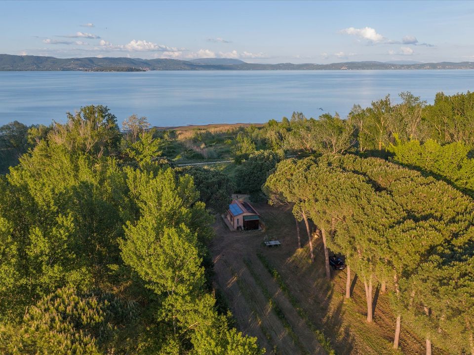Villa i Castiglione del Lago, Perugia - bilde 2