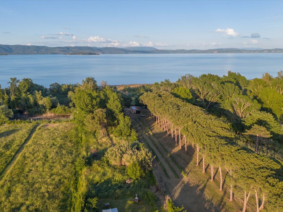 Villa i Castiglione del Lago, Perugia - bilde 3