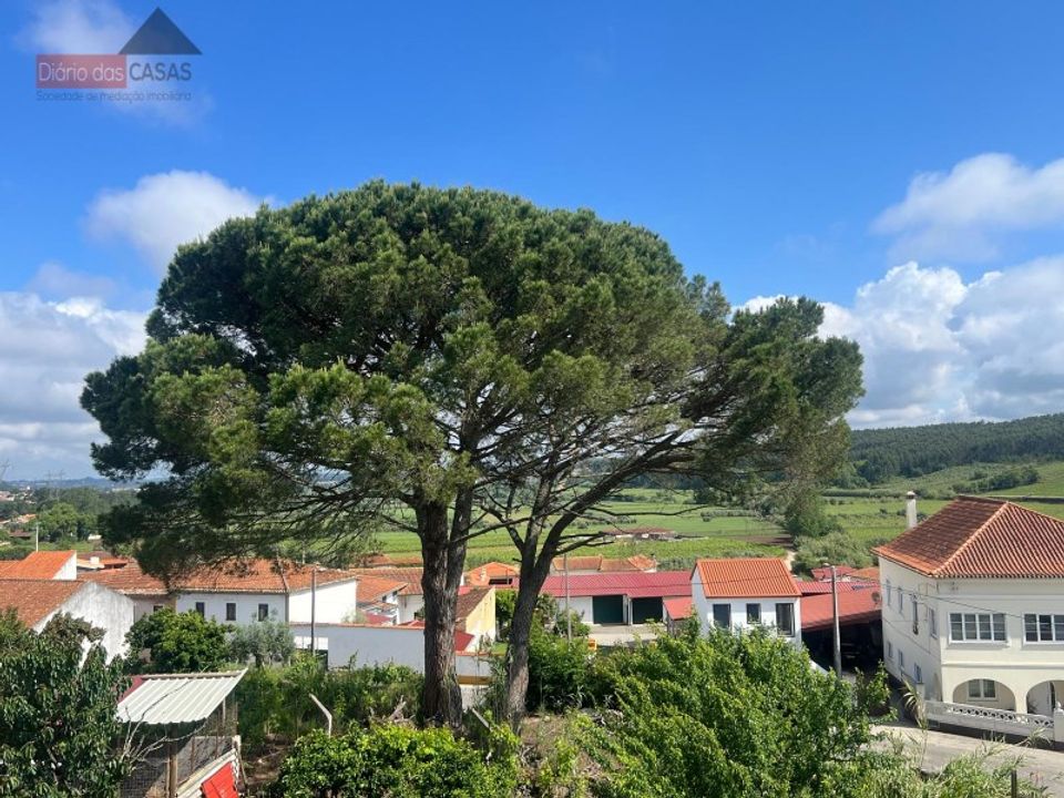 Villa i Anadia, Aveiro - foto 1