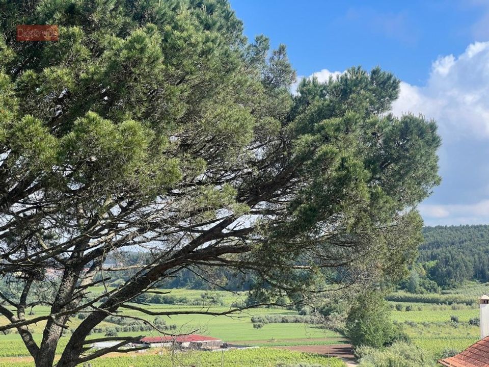 Villa i Anadia, Aveiro - foto 3