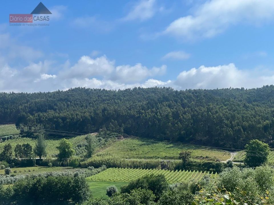 Villa i Anadia, Aveiro - foto 4