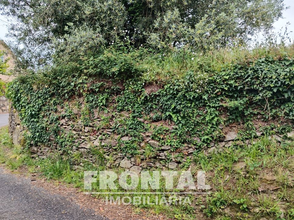 Helårsgrund i Viana do Castelo, Viana do Castelo - foto 4