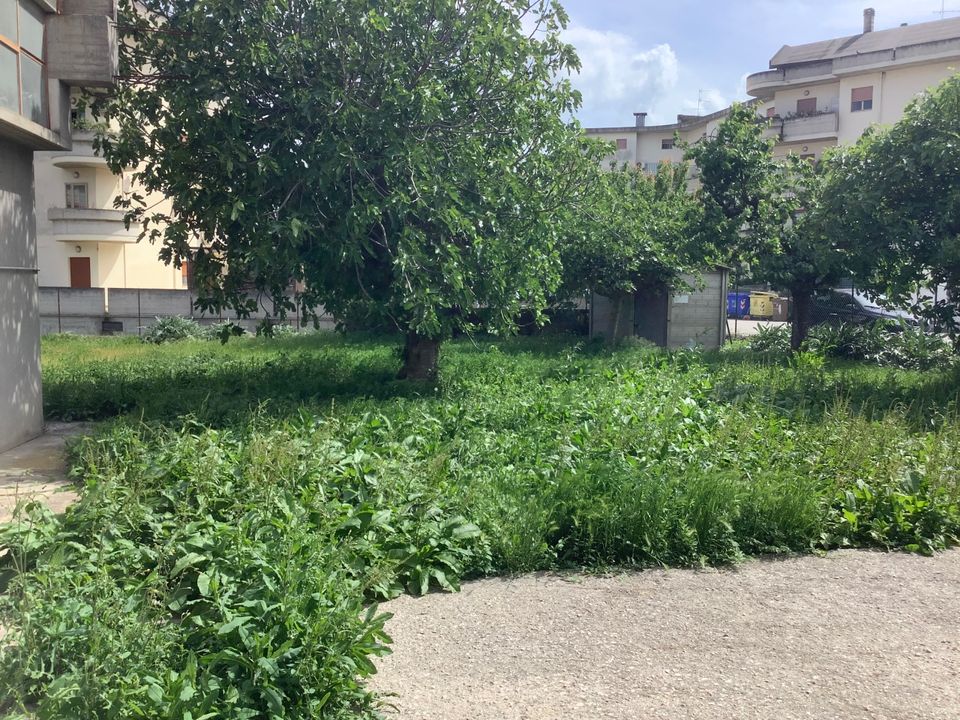 Villa i Monsampolo del Tronto, Ascoli Piceno - foto 3