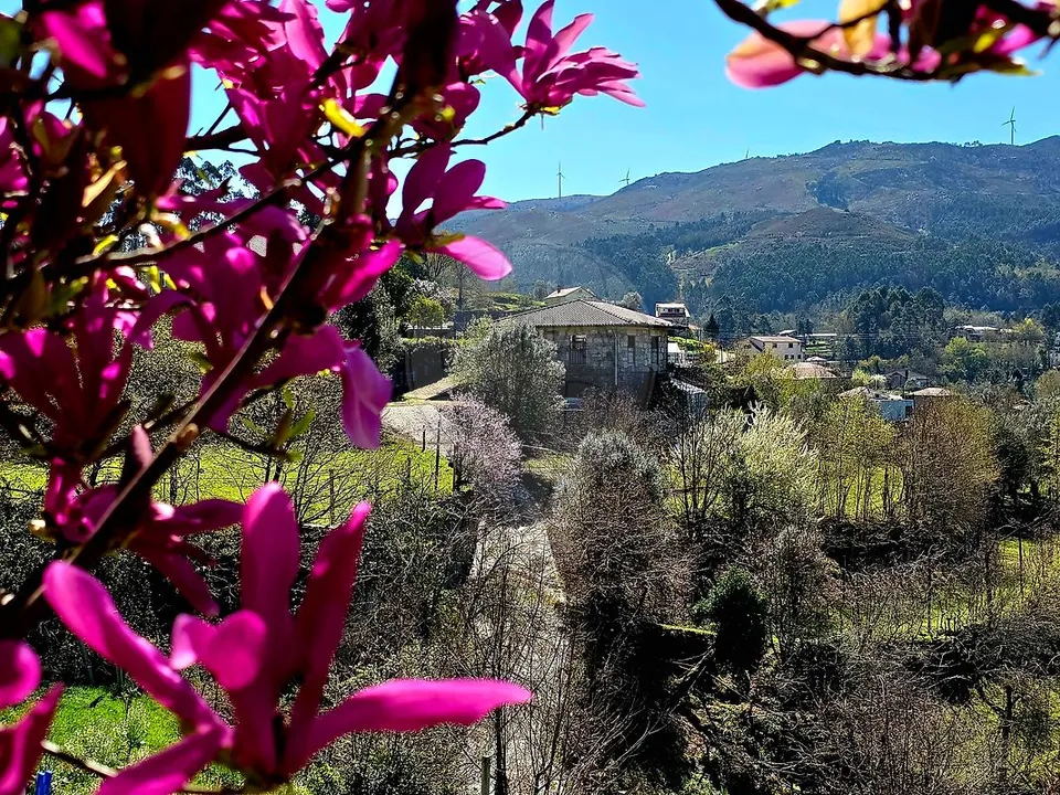 Gård i Vieira do Minho, Braga - bilde 3