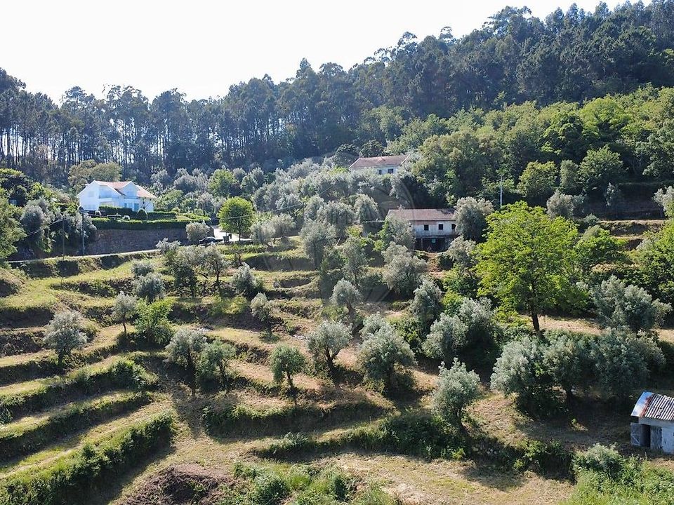 Farm i Celorico de Basto, Braga - foto 1