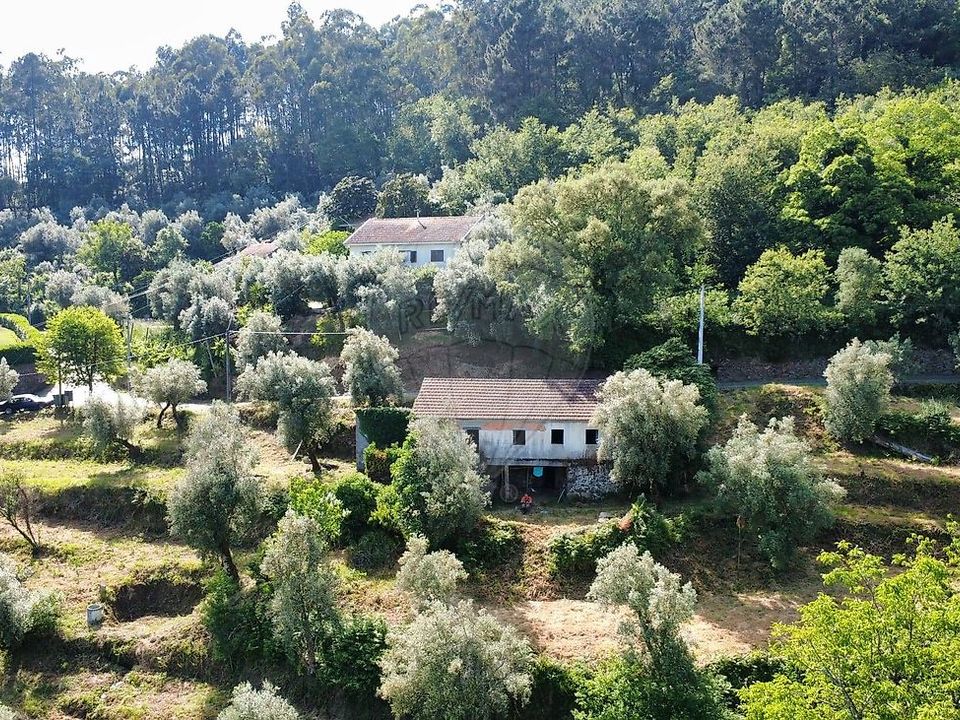 Farm i Celorico de Basto, Braga - foto 4