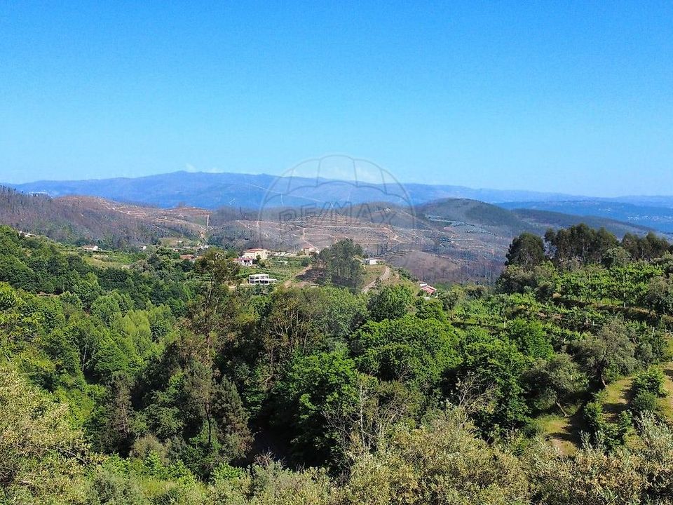 Farm i Celorico de Basto, Braga - foto 5