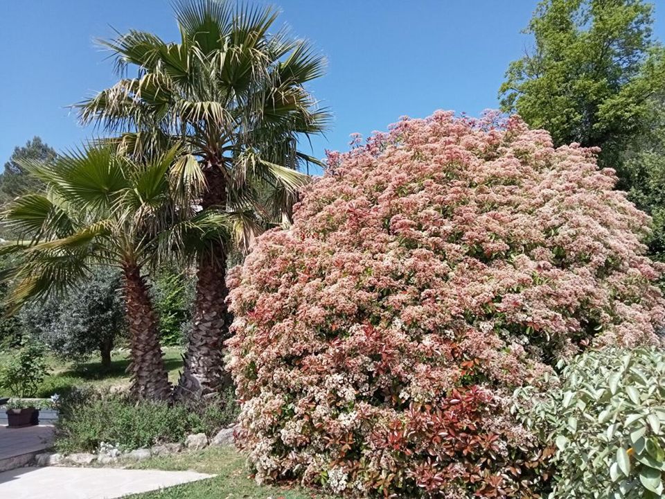 Villa i Cabasse, Var - bilde 1