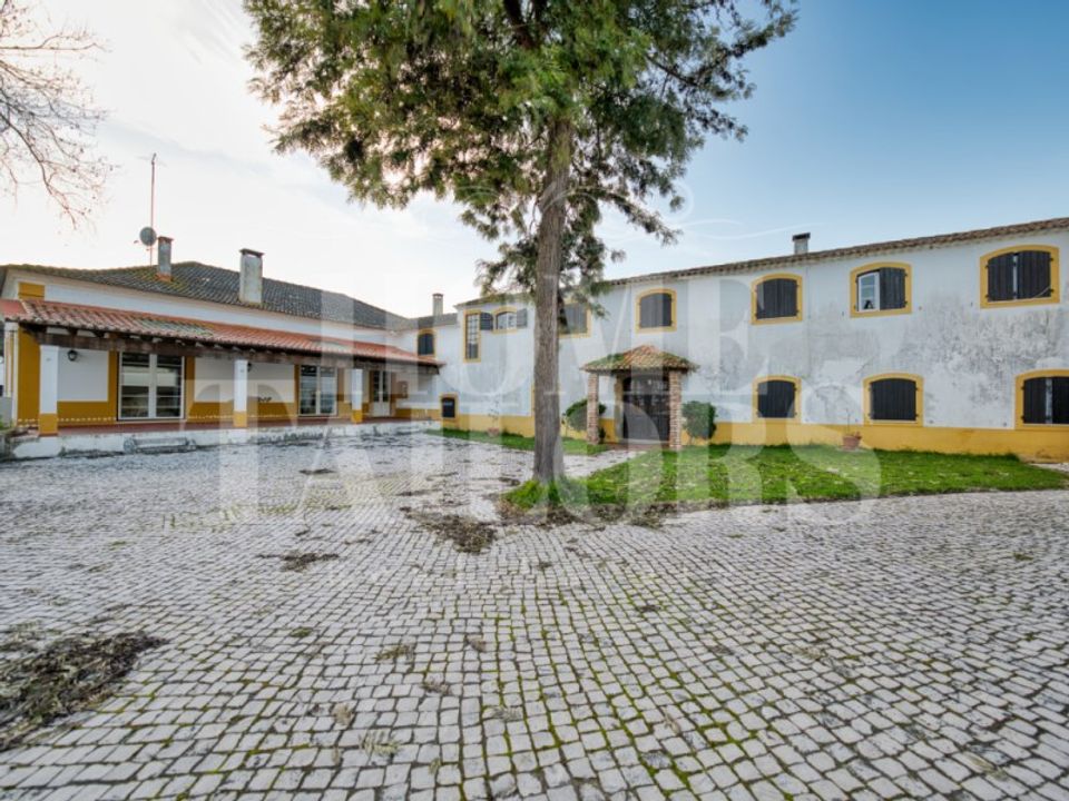 Gospodarstwo: Chamusca, Santarem – zdjęcie 2