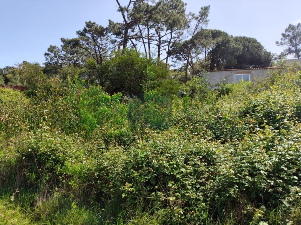 Helårsgrund i Costa da Caparica, Setubal - foto 4