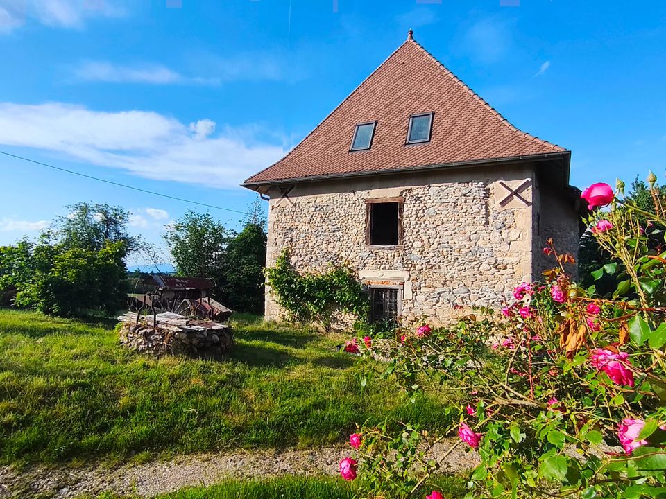 Lejlighed i Saint-Jean-D'Avelanne, Isere - foto 1